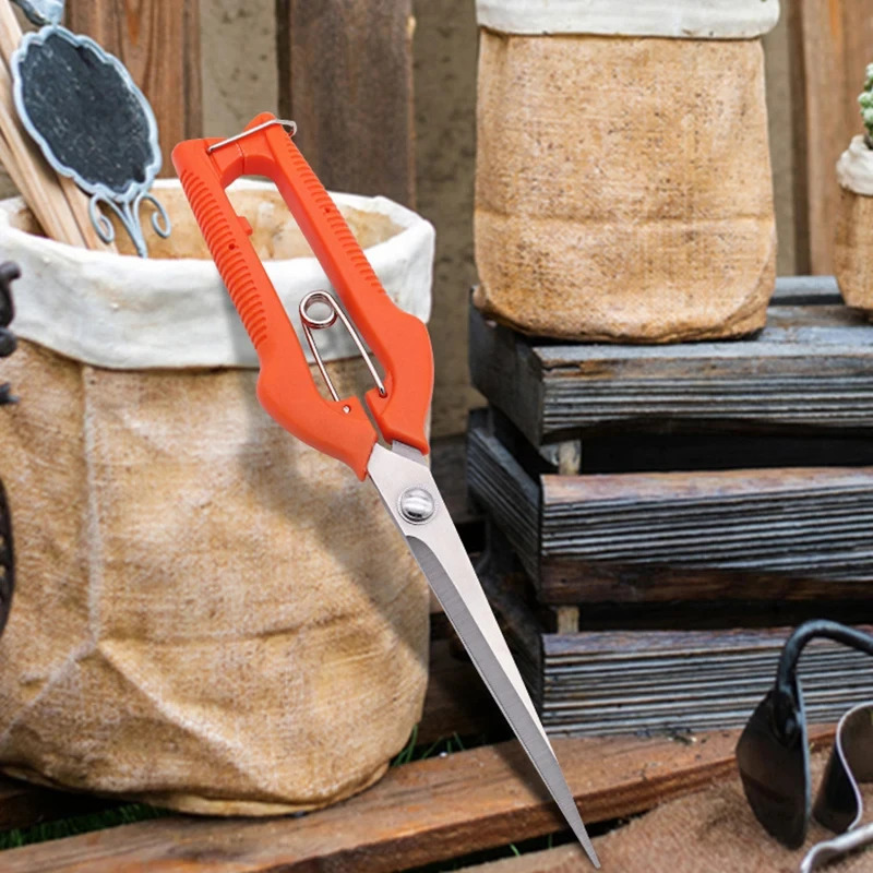 Multi-Purpose Pruning Scissors - Bonsai Garden Rake ulasan dan harga