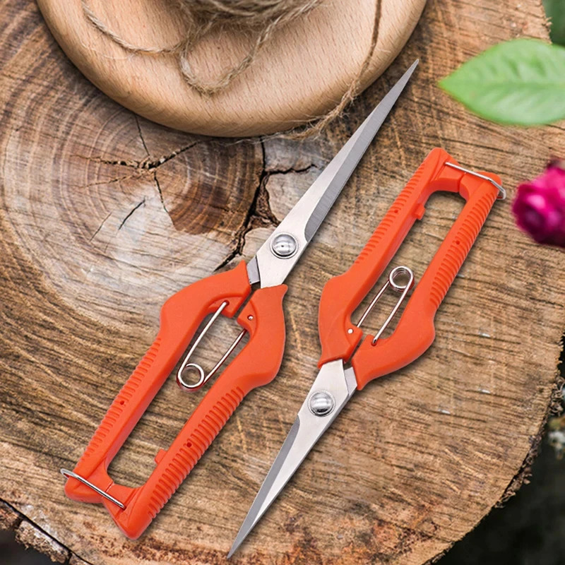 Multi-Purpose Pruning Scissors - Bonsai Garden Rake ulasan dan harga