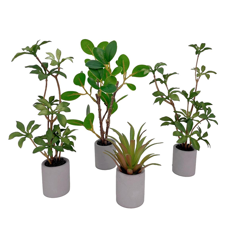 1:6 Dollhouse Miniature Potted - Bonsai Garden For Home ulasan dan harga
