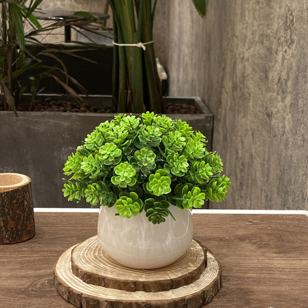 Realistic Fake Bonsai Artifici - Bonsai Garden Cafe ulasan dan harga