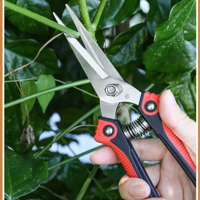 NEWSHARK Stainless Steel Pruni - Bonsai Garden Rake ulasan dan harga