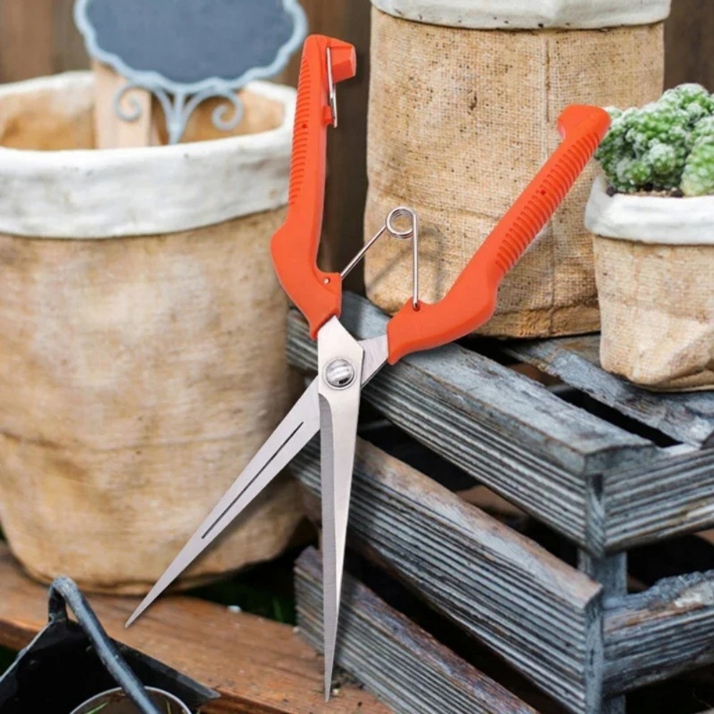 Professional Garden Pruning Sh - Bonsai Garden Rake ulasan dan harga