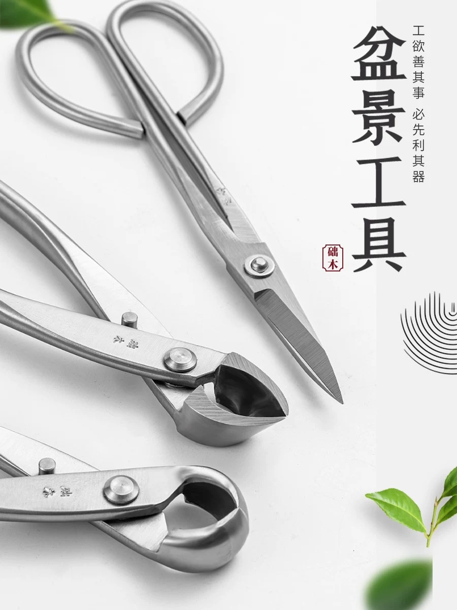 Bonsai Tools Set (3pcs) Branch - Bonsai Garden Rake ulasan dan harga