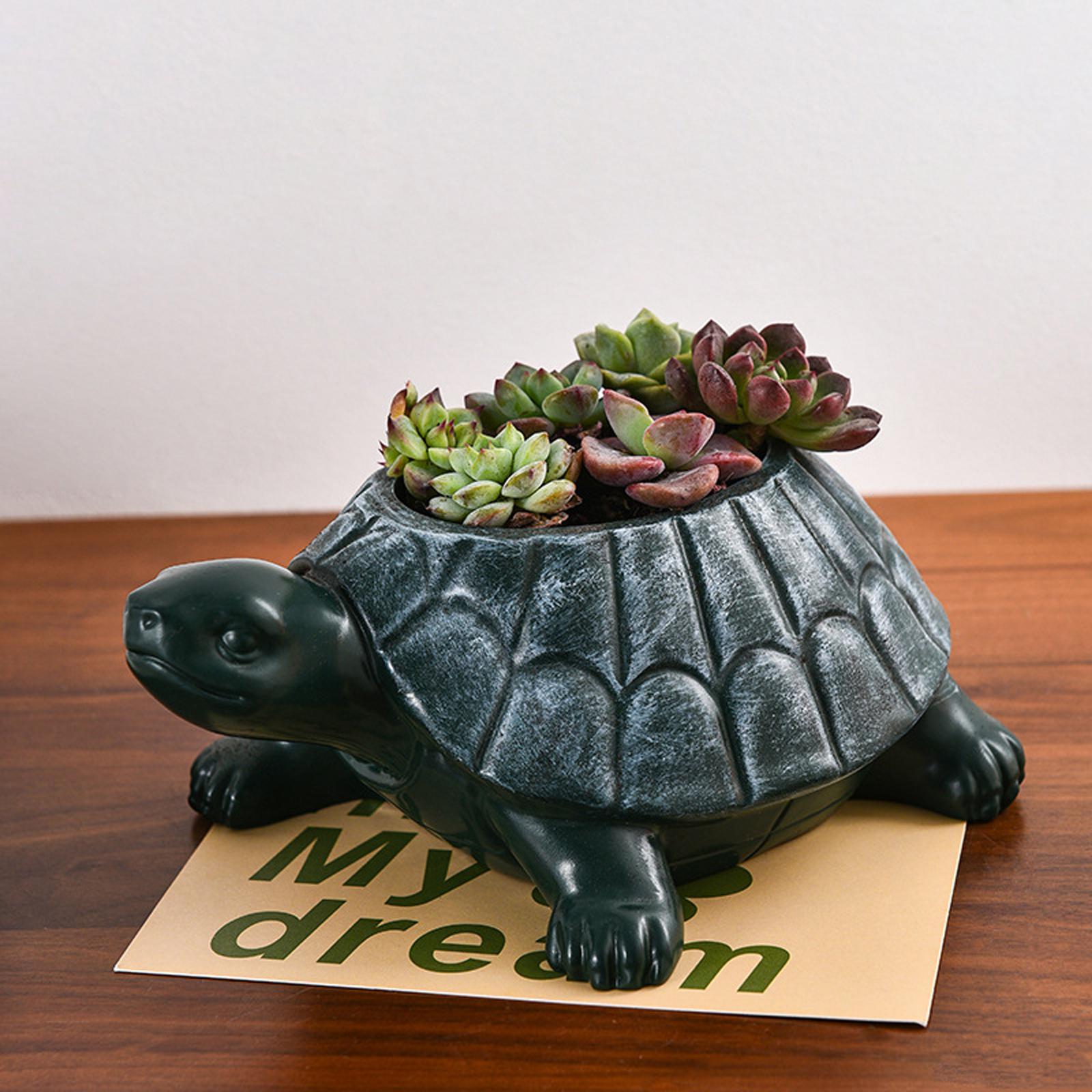 Turtle Planter Flower Pot Coll - Bonsai Garden Cafe ulasan dan harga