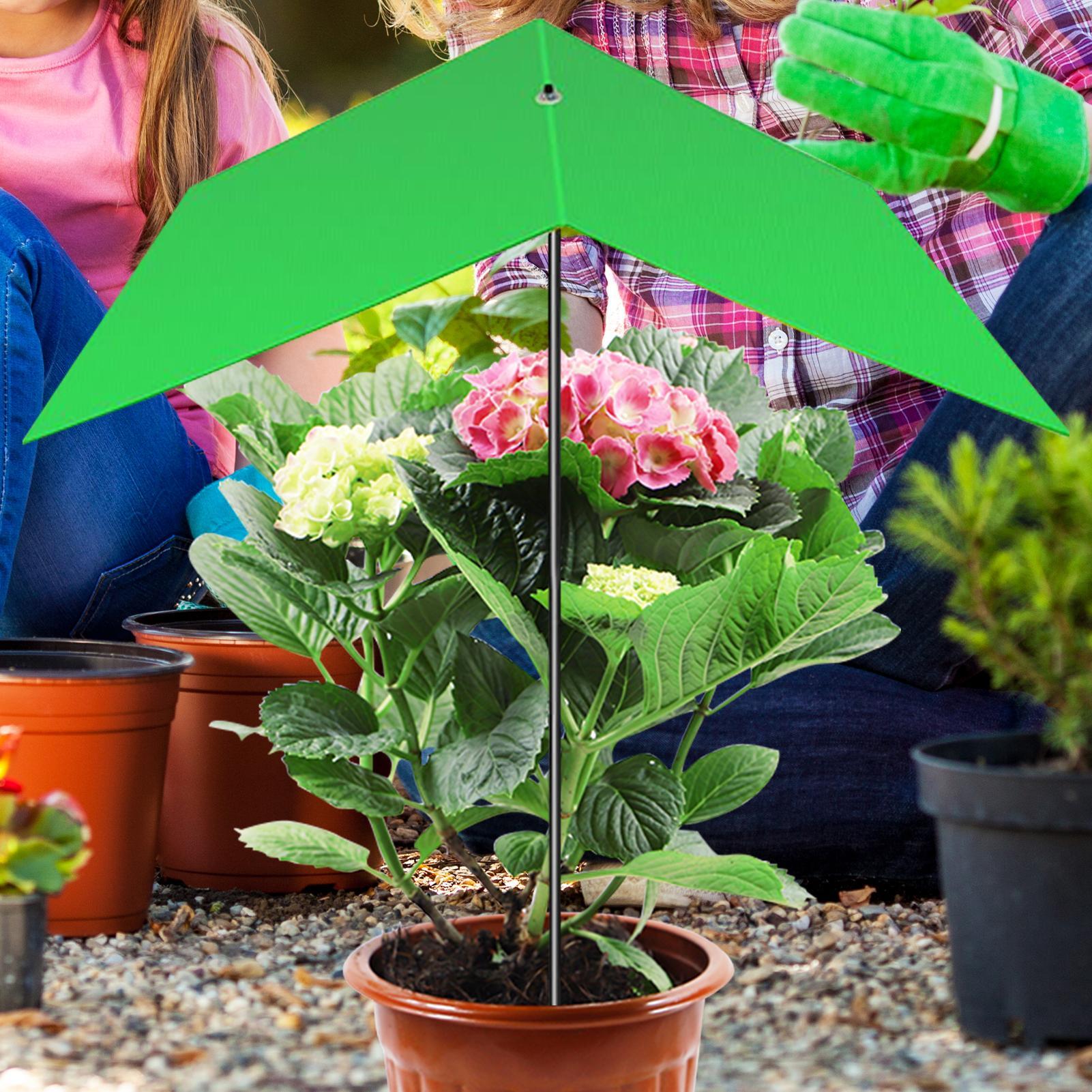 Plant Umbrella Anti-UV Heat Re - Bonsai Garden Cafe ulasan dan harga