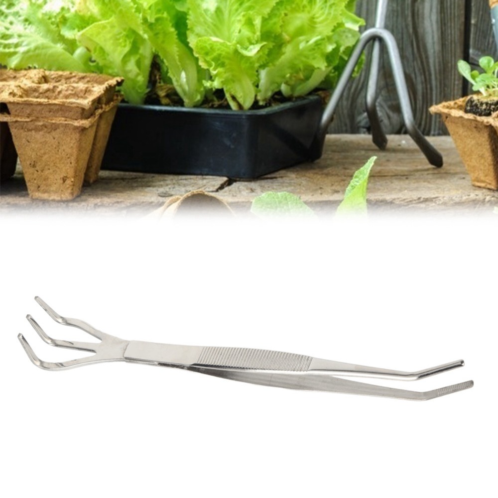 Durable 2 in 1 Bonsai Rake Sta - Bonsai Garden Rake ulasan dan harga