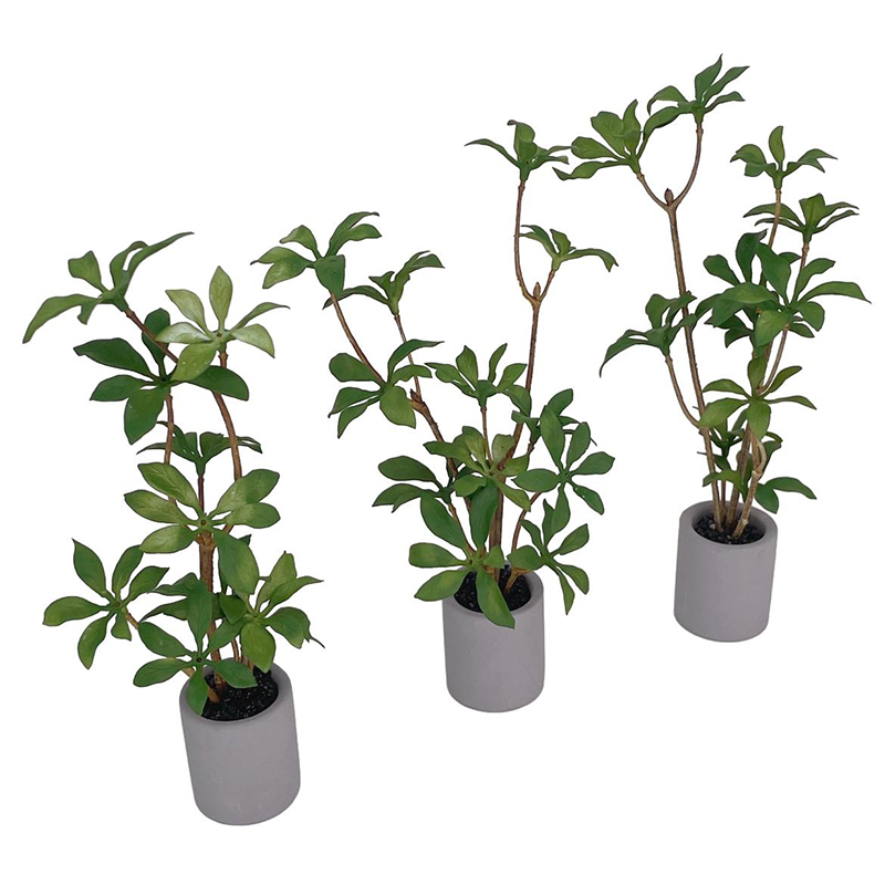 1:6 Dollhouse Miniature Potted - Bonsai Garden For Home ulasan dan harga