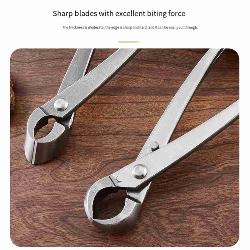 ABAE-Bonsai Tree Tools, 4 Piec - Root Hook Tool ulasan dan harga