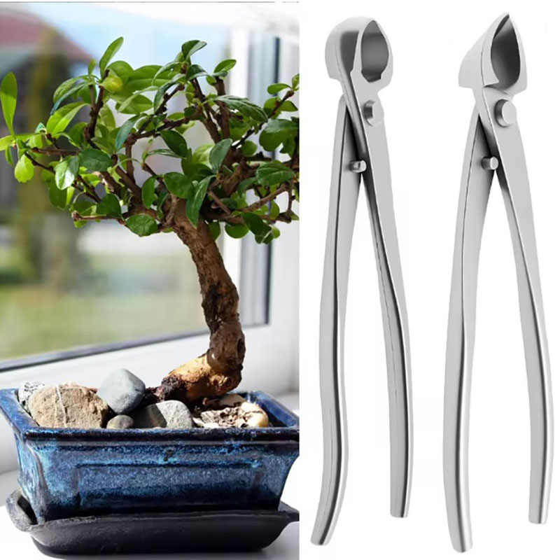 2pcs 210mm Stainless Steel Bon - Bonsai Garden Rake ulasan dan harga
