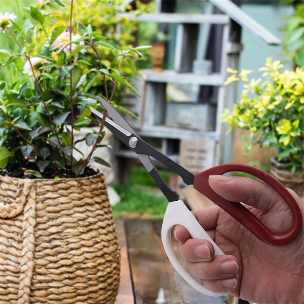 Bonsai Tool Long Handle Scisso - Bonsai Garden Rake ulasan dan harga
