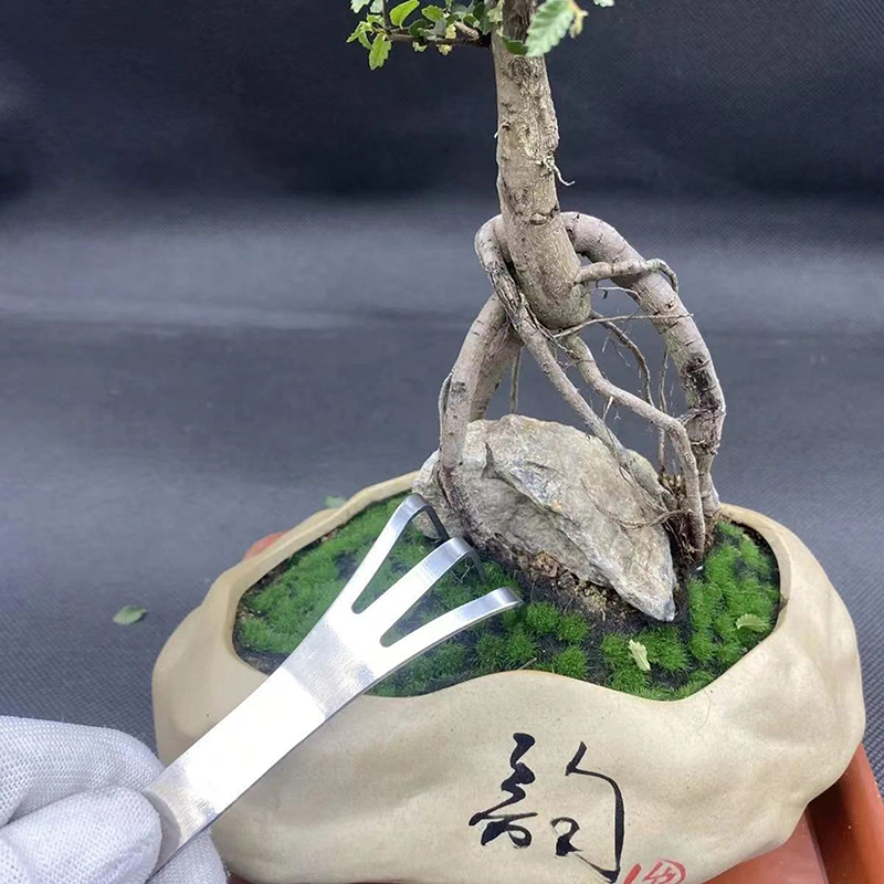 1Pc Stainless Steel Root Rake  - Bonsai Garden Rake ulasan dan harga