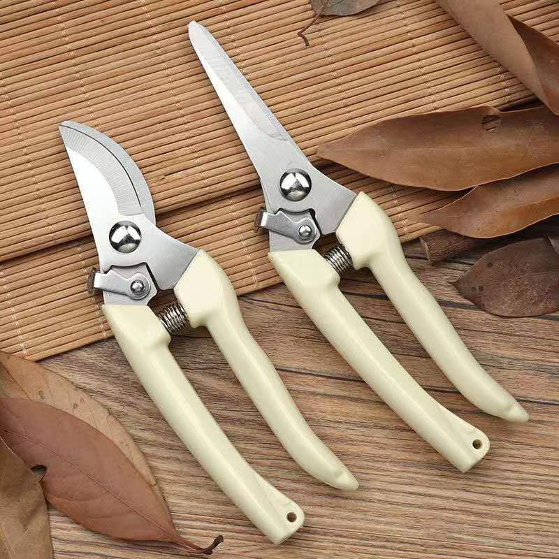 Stainless Steel Garden Pruning - Bonsai Garden Rake ulasan dan harga