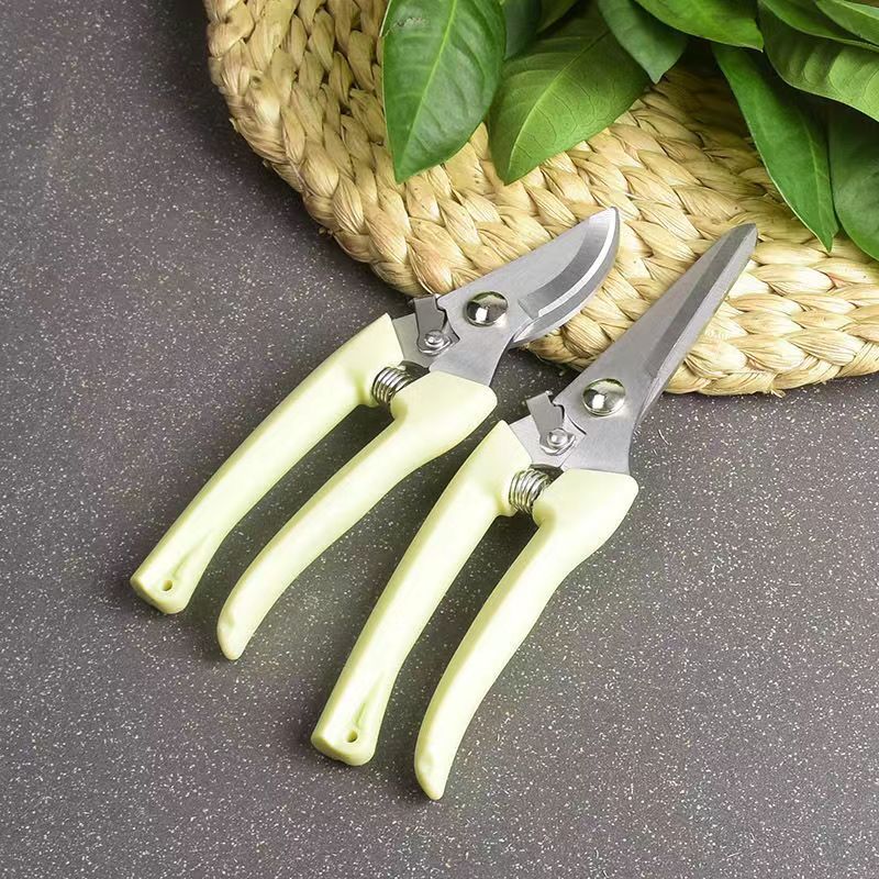 Stainless Steel Garden Pruning - Bonsai Garden Rake ulasan dan harga