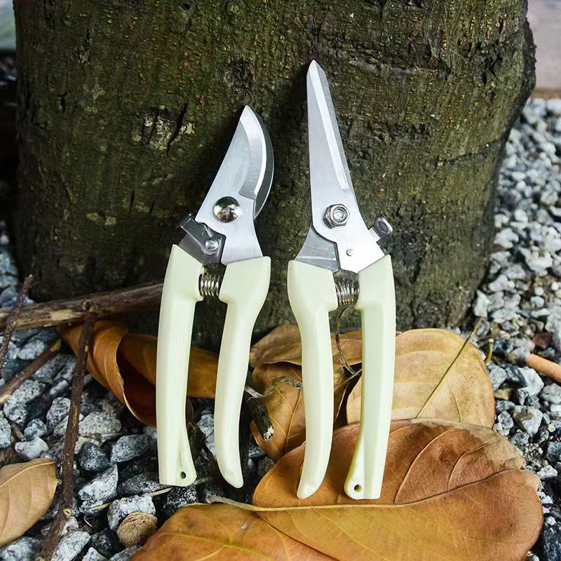 Stainless Steel Garden Pruning - Bonsai Garden Rake ulasan dan harga