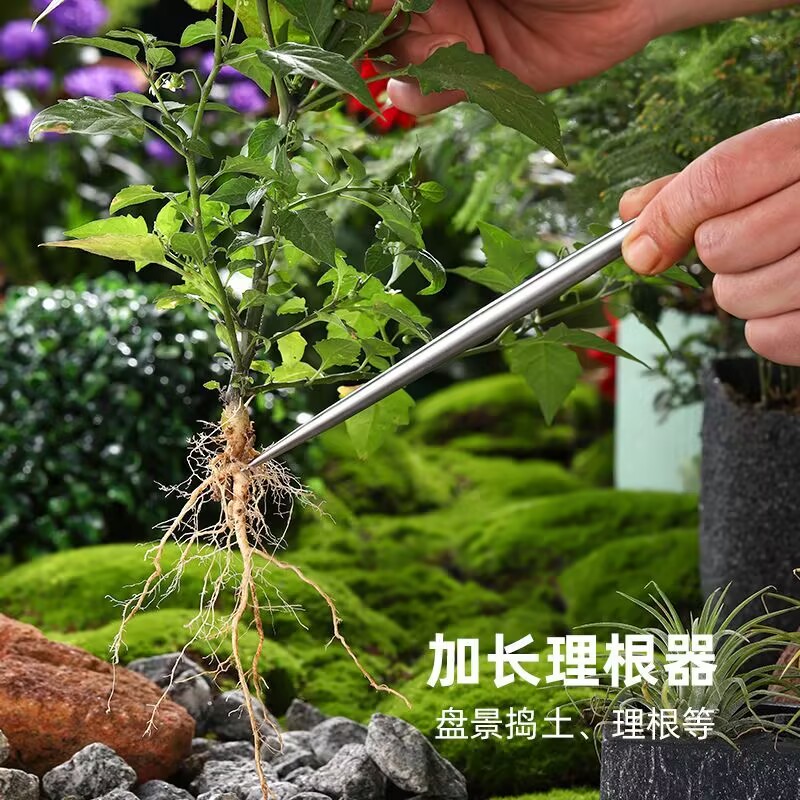 Solid Stainless Steel Root Hoo - Root Hook Tool ulasan dan harga
