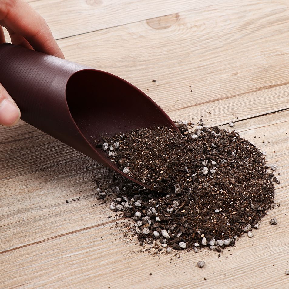 1PC Plastic Soil Shovel Cup Fo - Bonsai Garden For Home ulasan dan harga
